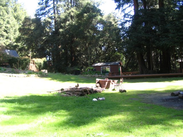 santacruz_p_12.jpg