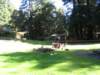 santacruz_p_12_small.jpg