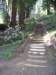 santacruz_p_17_small.jpg