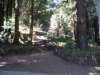 santacruz_p_20_small.jpg