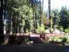 santacruz_p_21_small.jpg