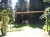 santacruz_p_22_small.jpg