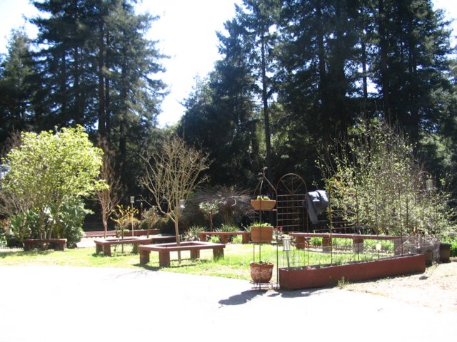 santacruz_p_23.jpg