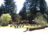 santacruz_p_23_small.jpg