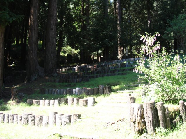 santacruz_p_4.jpg