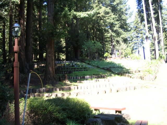 santacruz_p_5.jpg