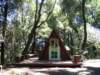 santacruz_p_8_small.jpg