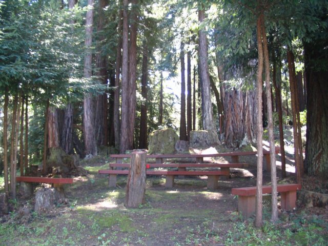 santacruz_p_9.jpg